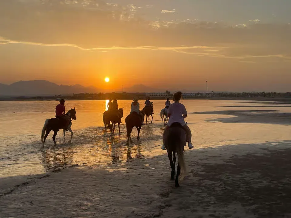 Horse Riding Safari – Desert or Sea