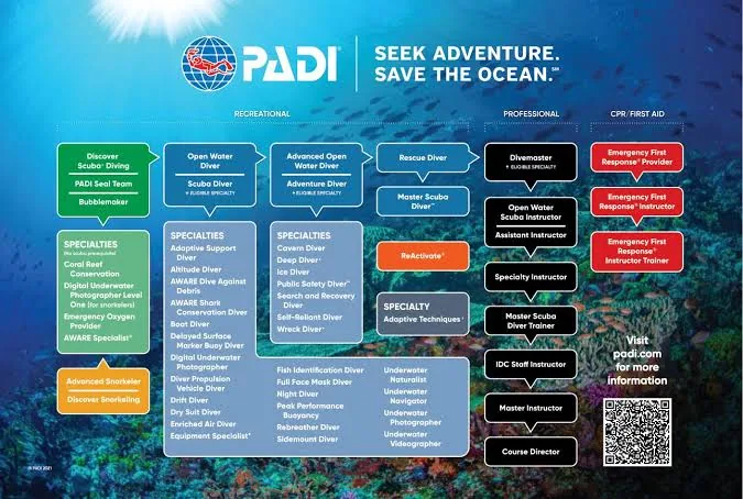 PADI Open Water Diving Course – Sharm El Sheikh